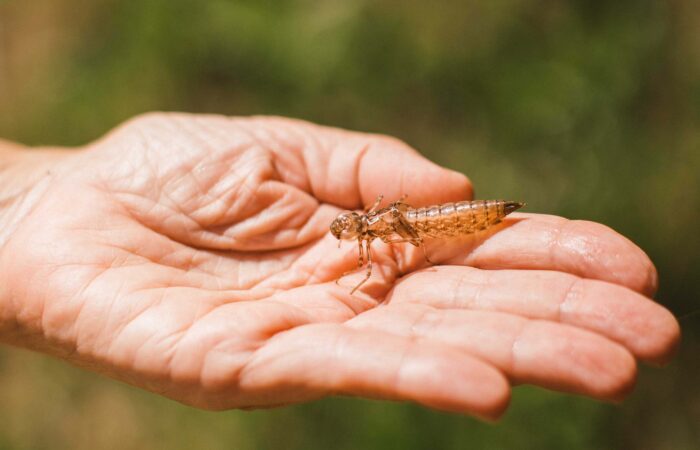 Wellbeing Yoga Retreat in Portugal