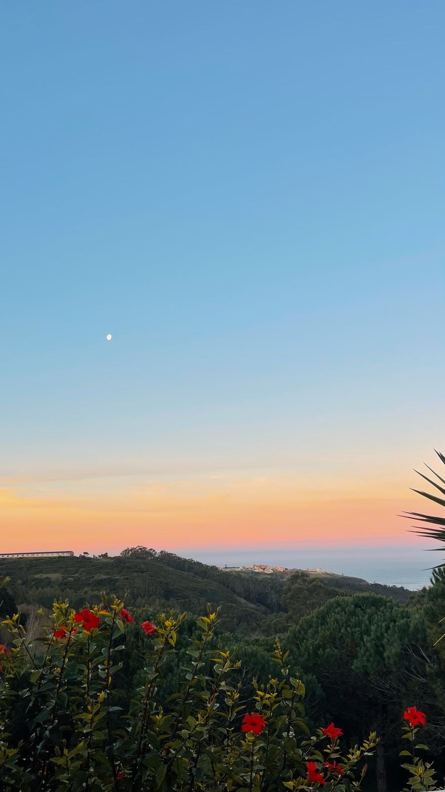 Wellbeing Yoga Retreat in Portugal