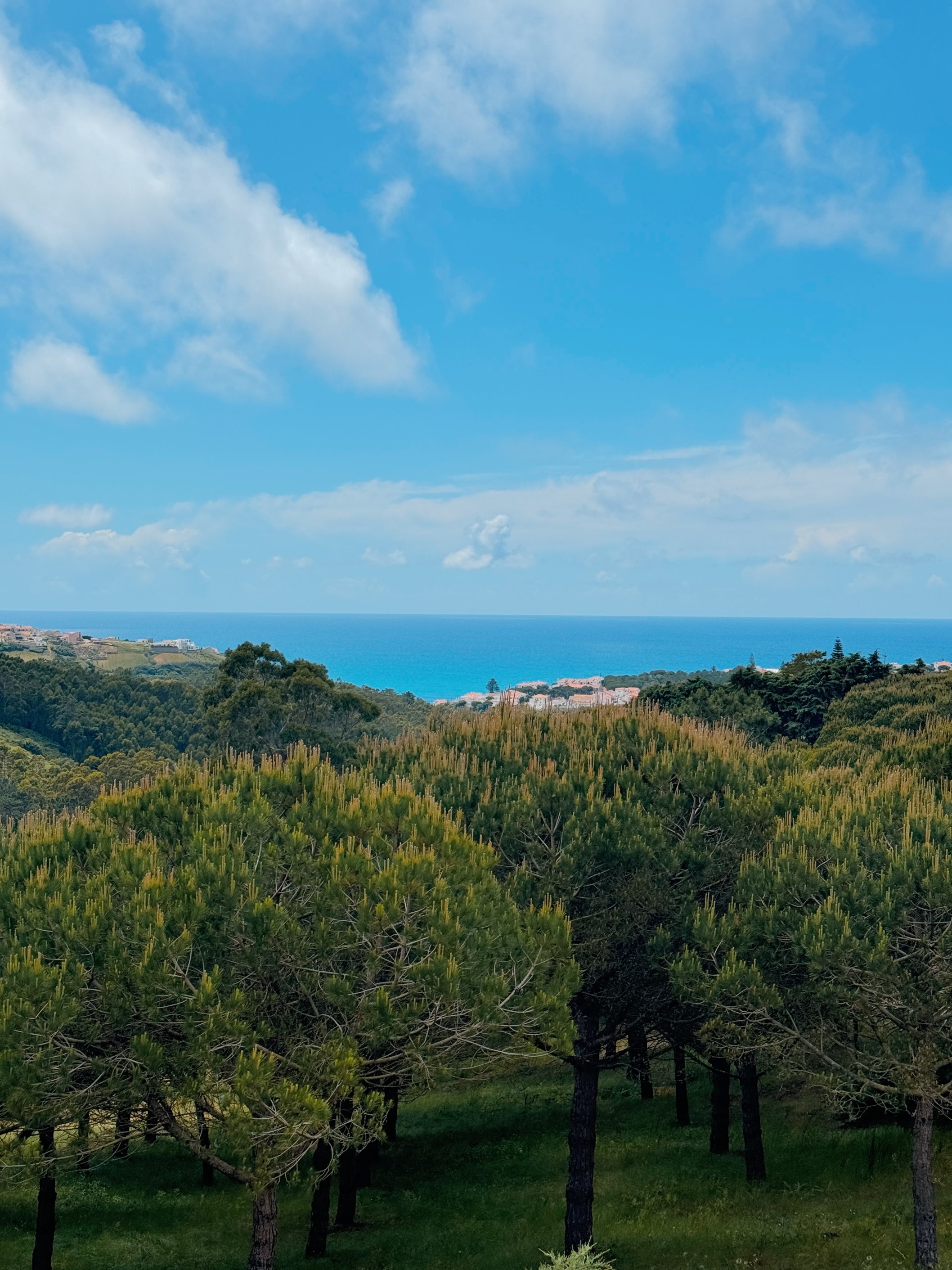 IMG_6145_VSCO (1) IMG_6145_VSCO (1)