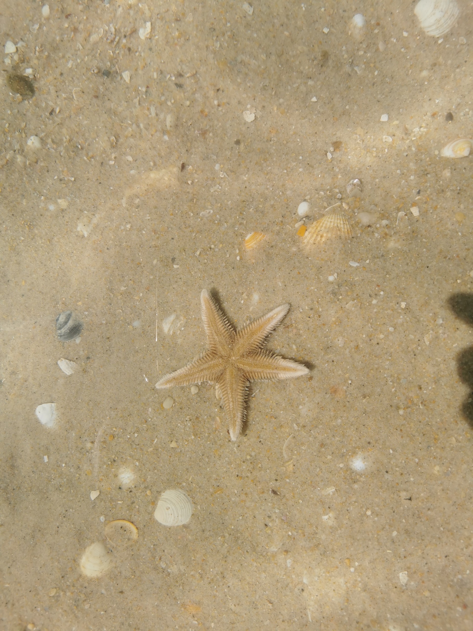 phone free retreat Portugal Algarve